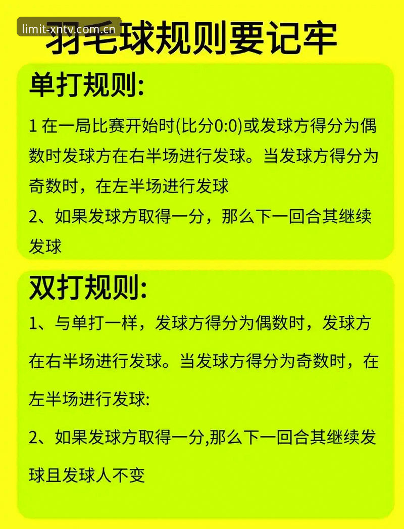 小鸟体育比分新手使用指南——从下载到高阶玩法全解析